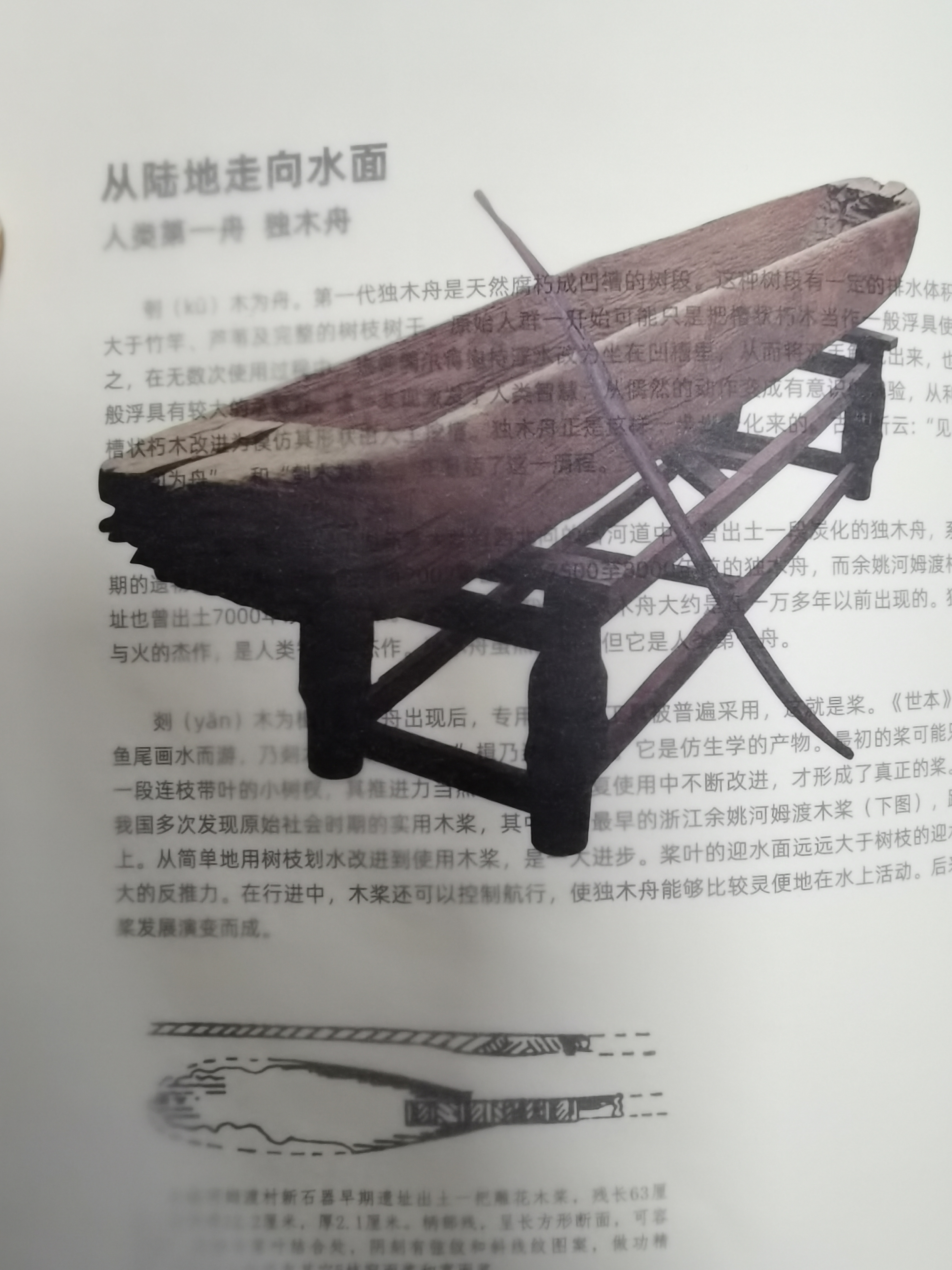 紙的文化與歷史